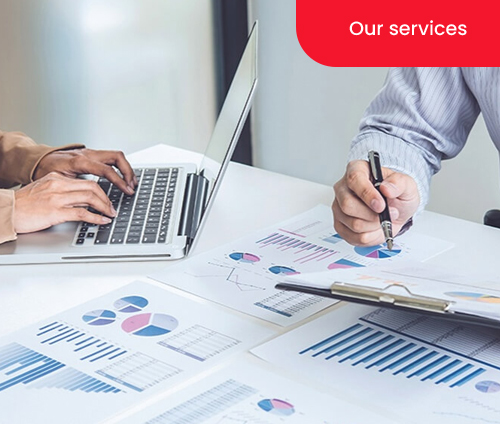 Transfer Pricing Document